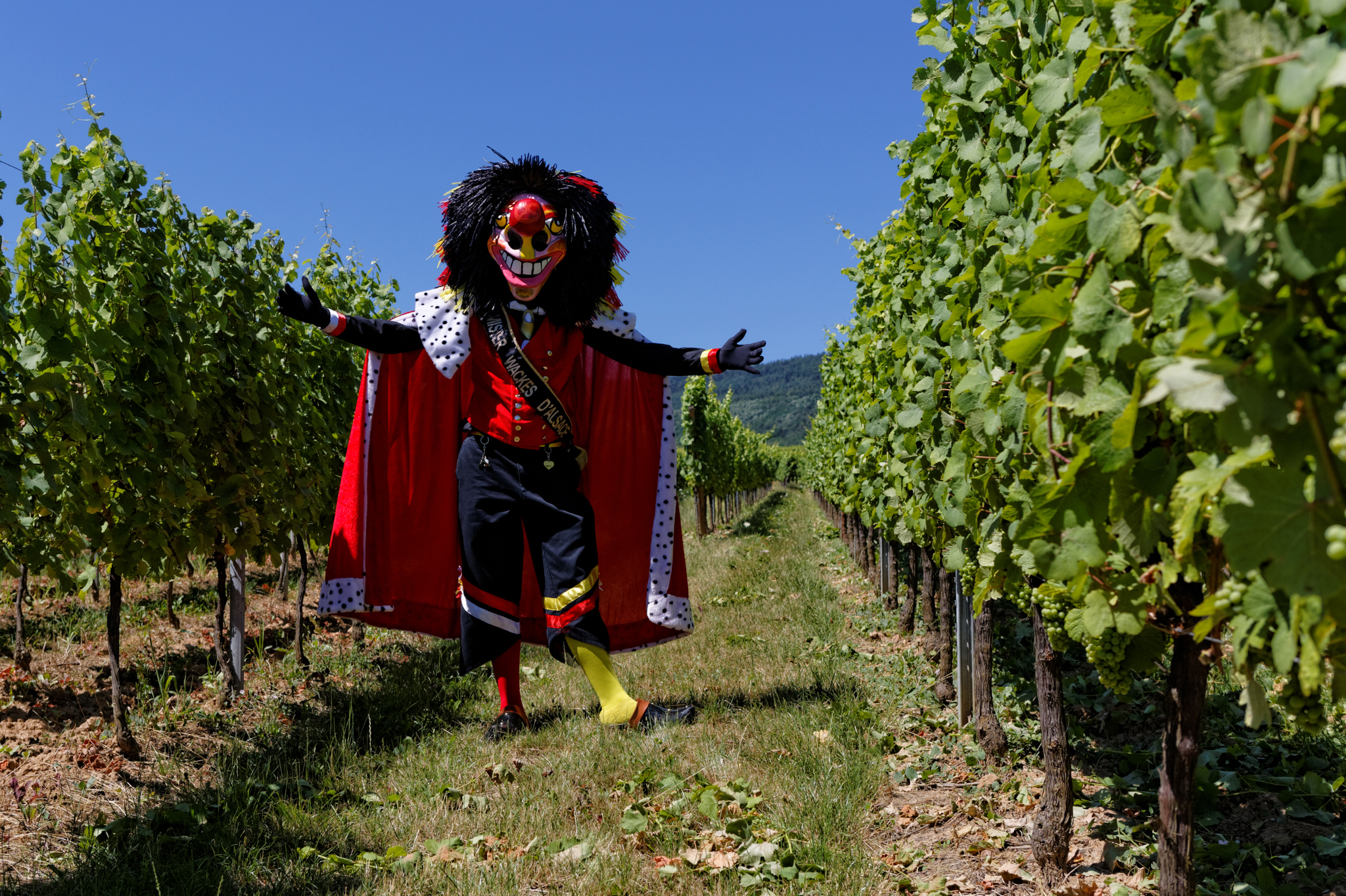 Mister Wackes d'Alsace