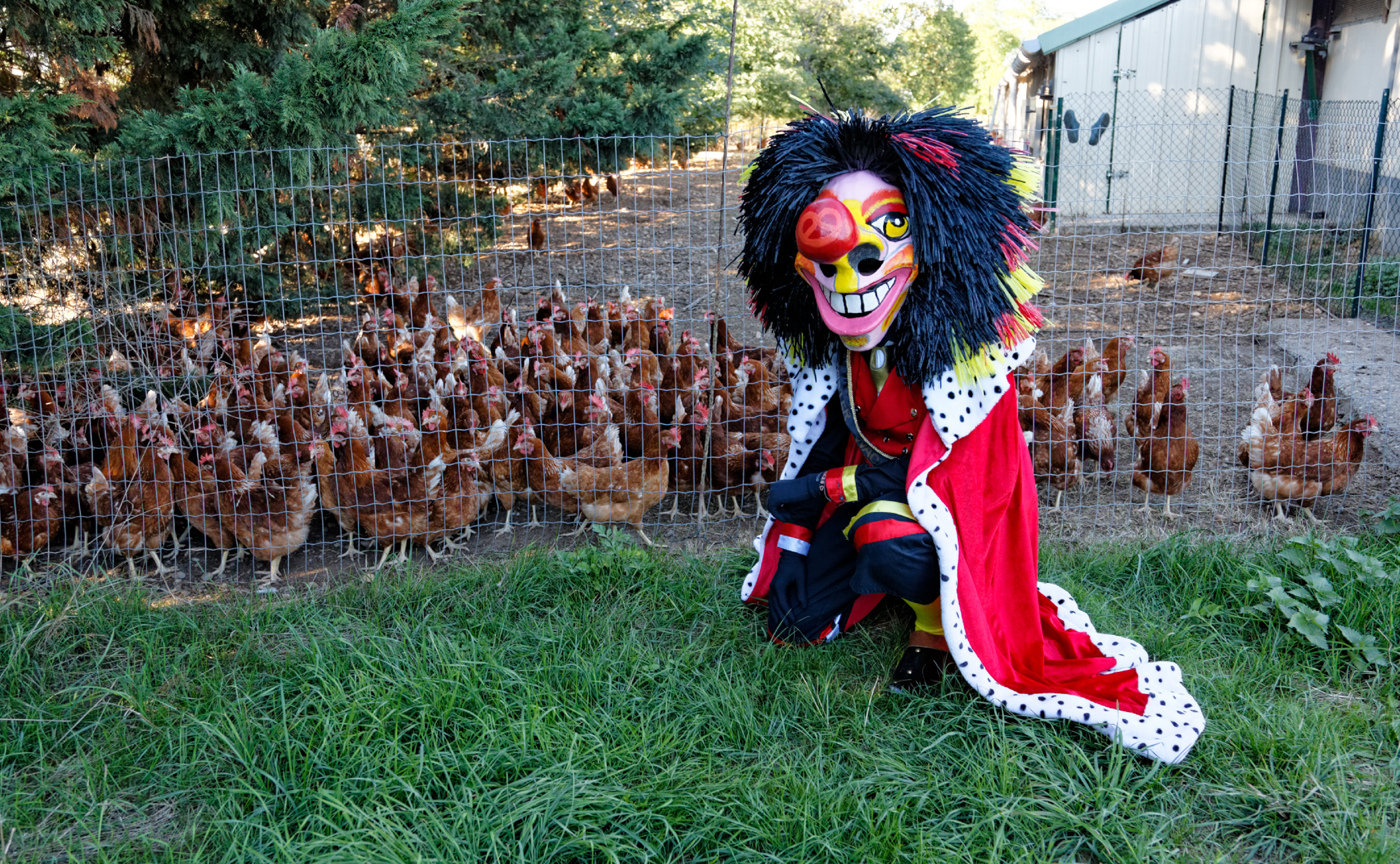 Mister Wackes d'Alsace