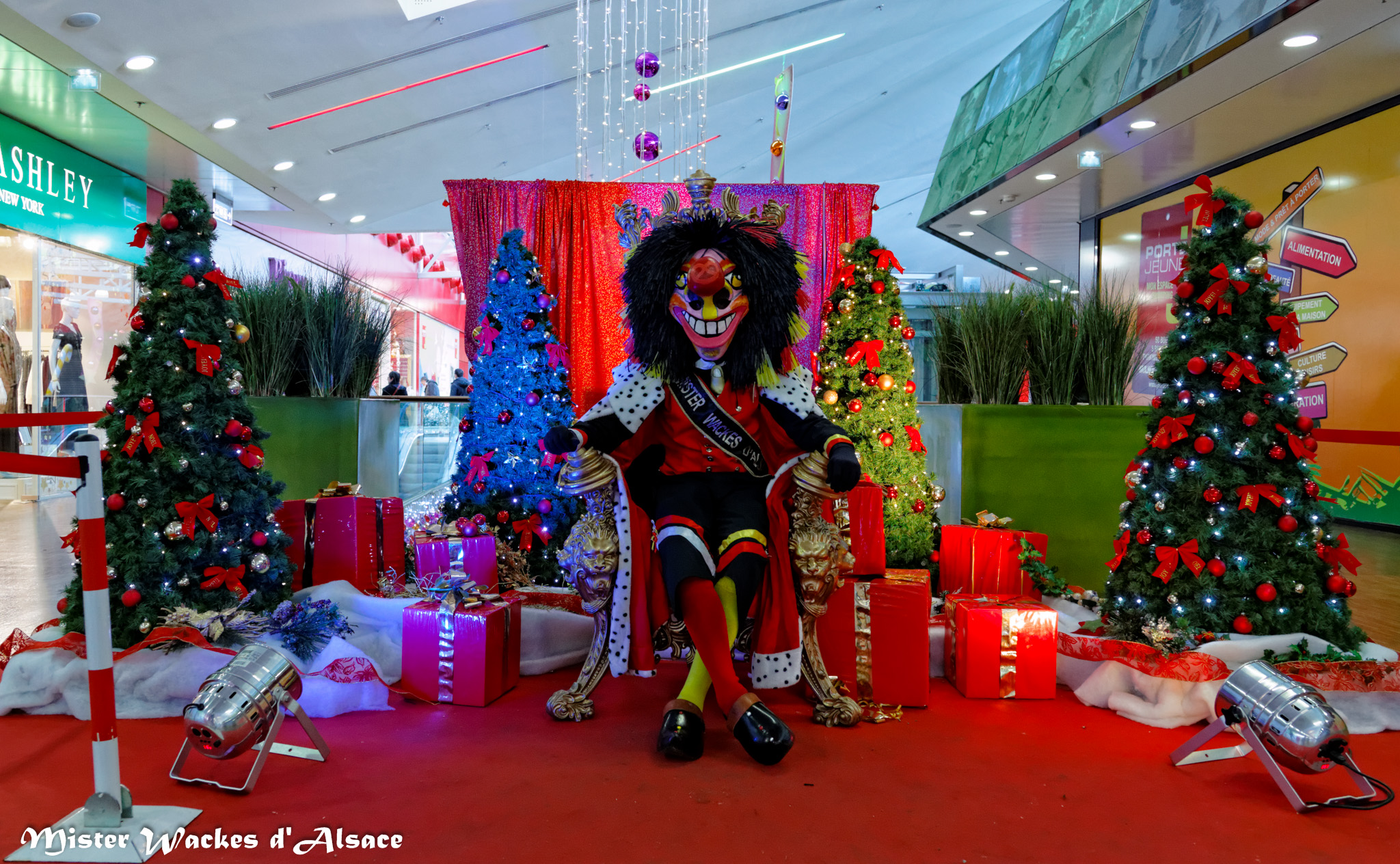 Téléthon Mulhouse 2013, Mister Wackes d’Alsace au Centre Commercial Porte Jeune