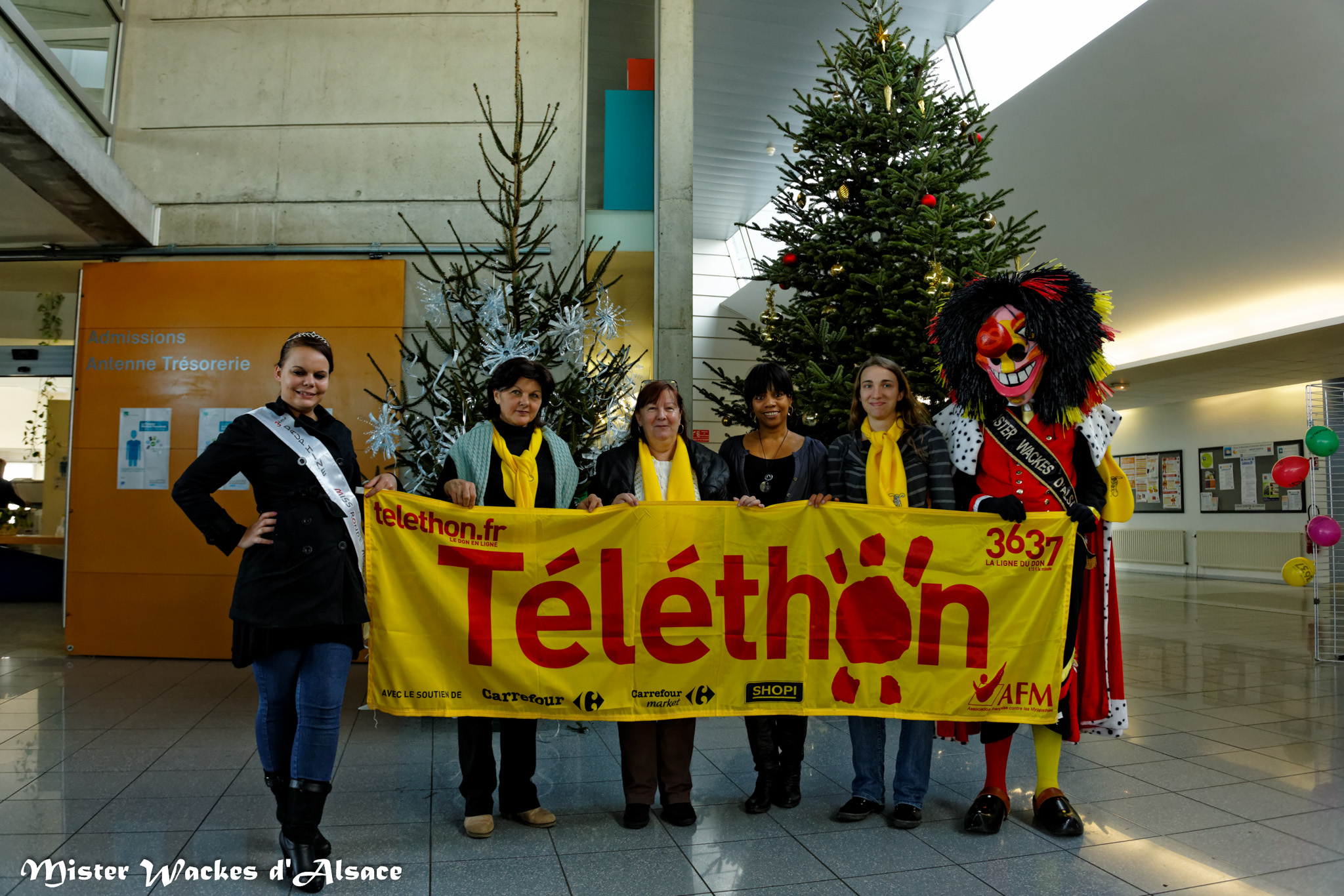 Téléthon Mulhouse 2013, décoration de sapin au Centre Hospitalier Emile Muller de Mulhouse