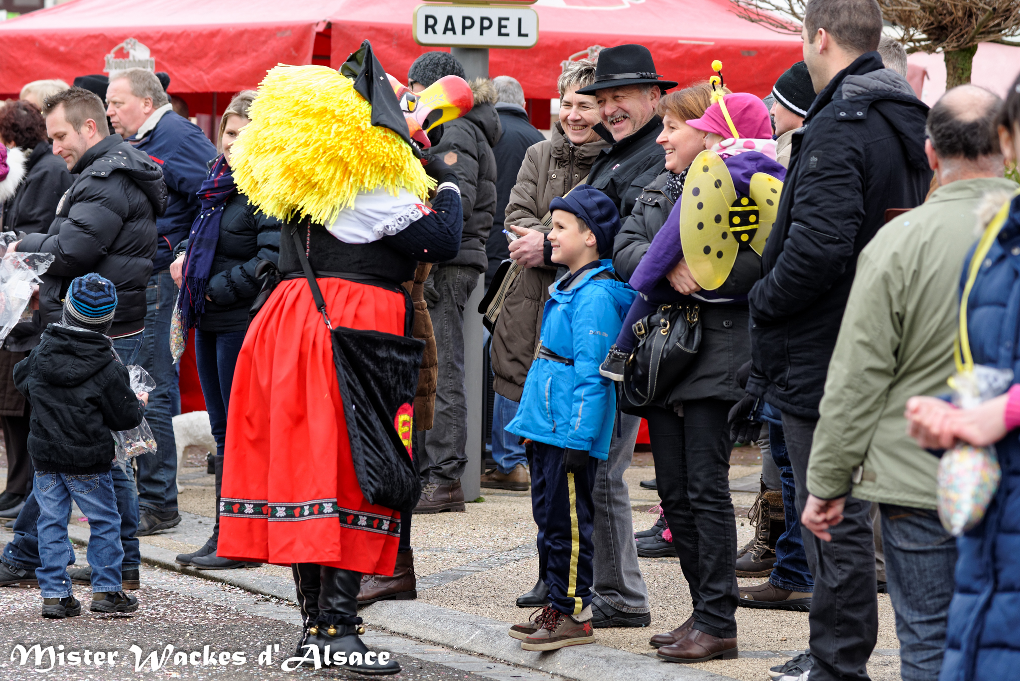 Carnaval de Guewenheim 2015 avec la dulcinée Elsa de Mister Wackes d'Alsace