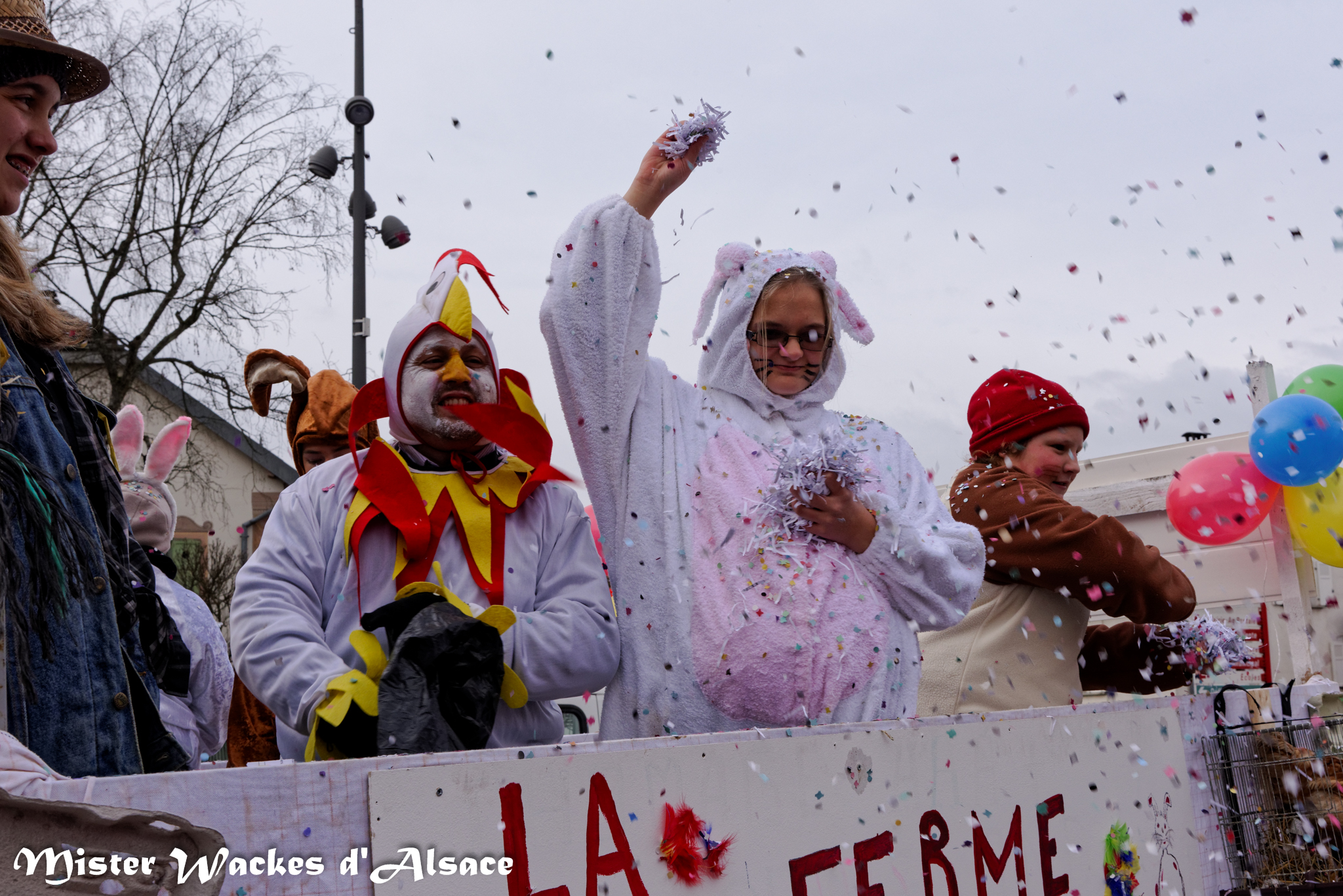 Carnaval de Guewenheim 2015 - la famille Weiss