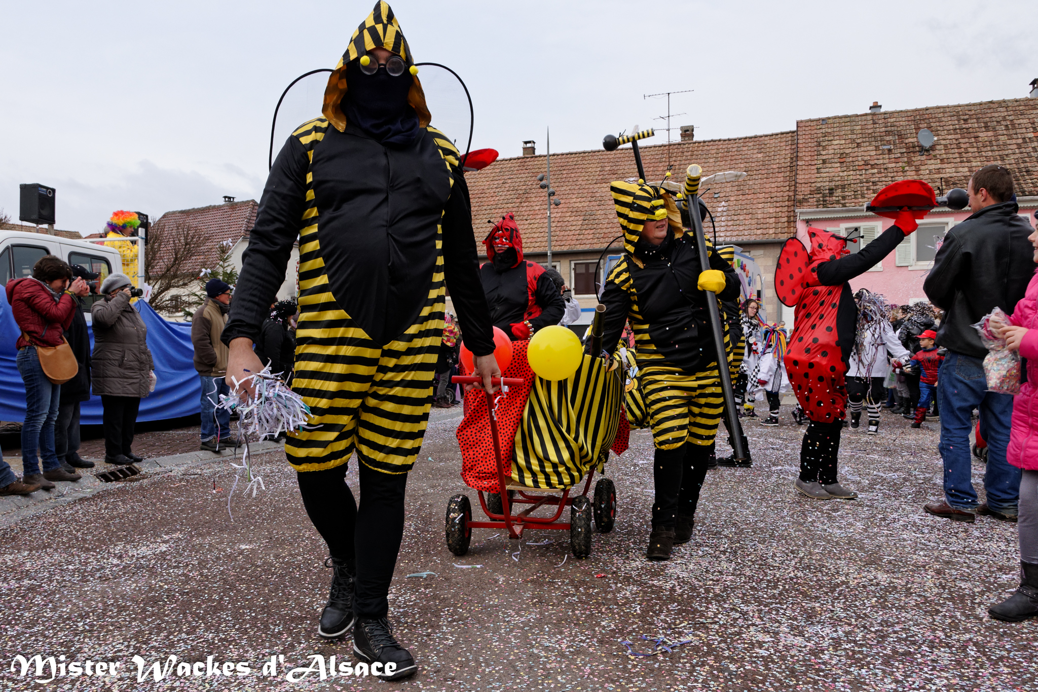Carnaval de Guewenheim 2015 et les Bzzzzzz