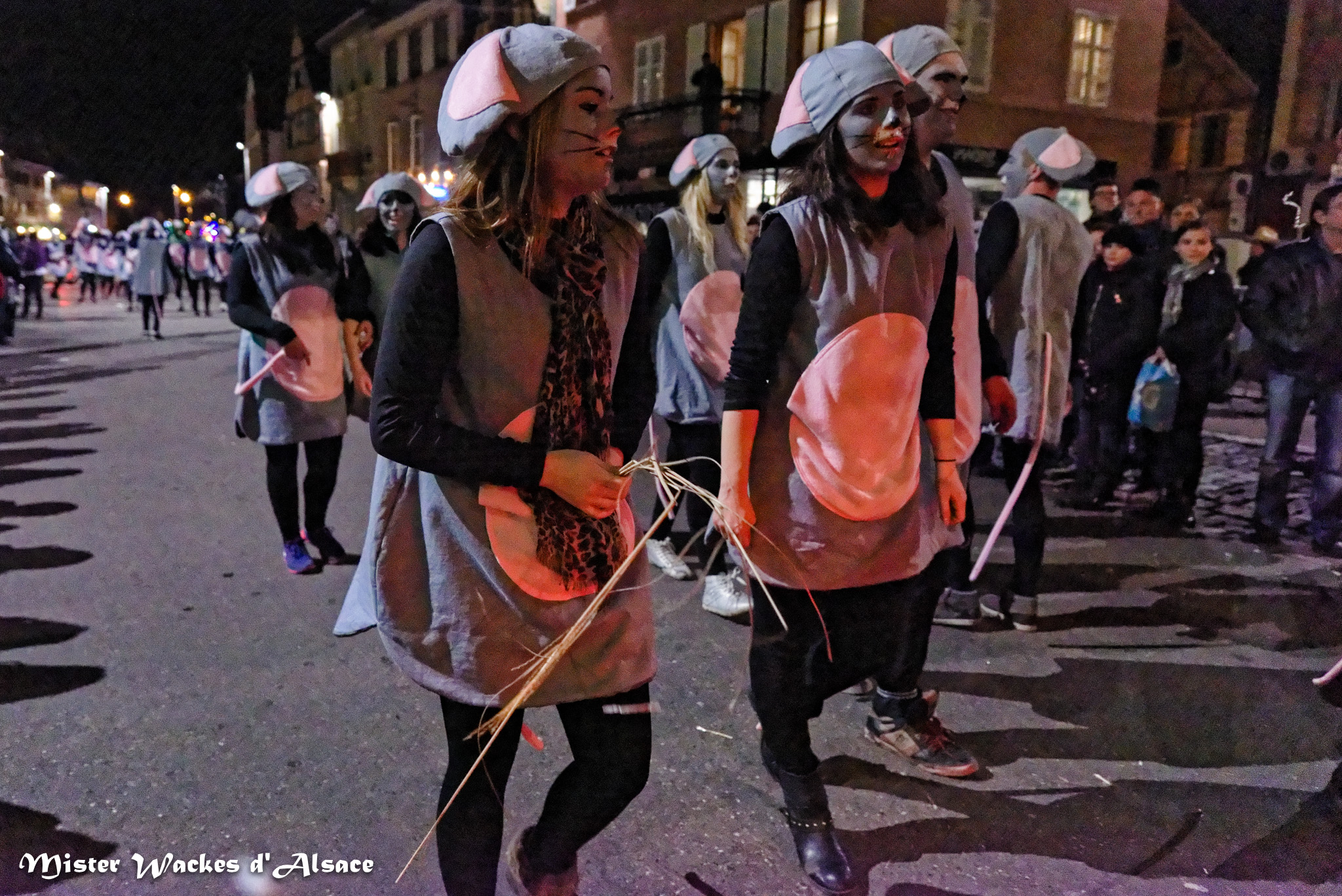 Carnaval nocturne des Machores et les petites souris des Anlli Gaga de Hilsenheim