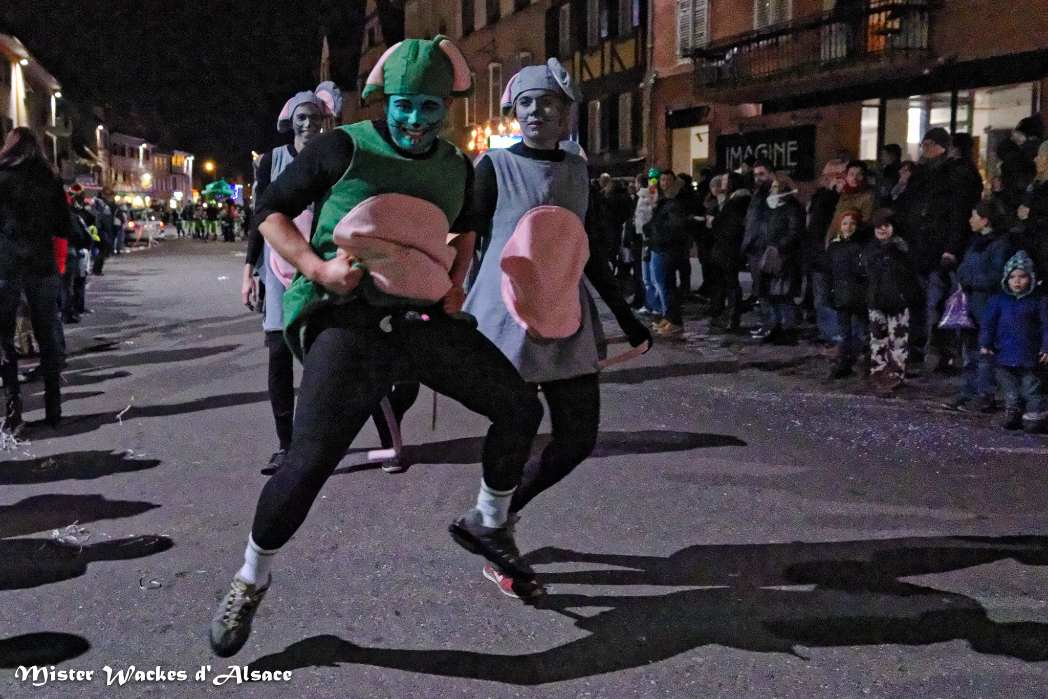 Carnaval nocturne de Sélestat et les petites souris des Anlli Gaga de Hilsenheim