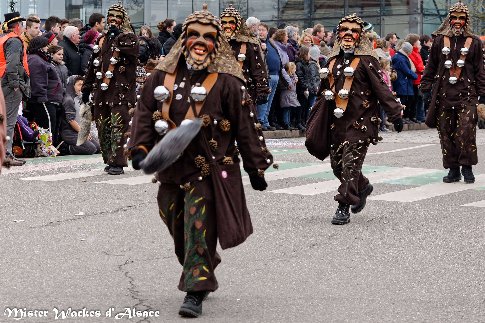 Carnaval de Sélestat 2015 avec les Fohrebobbele aus St Georgen