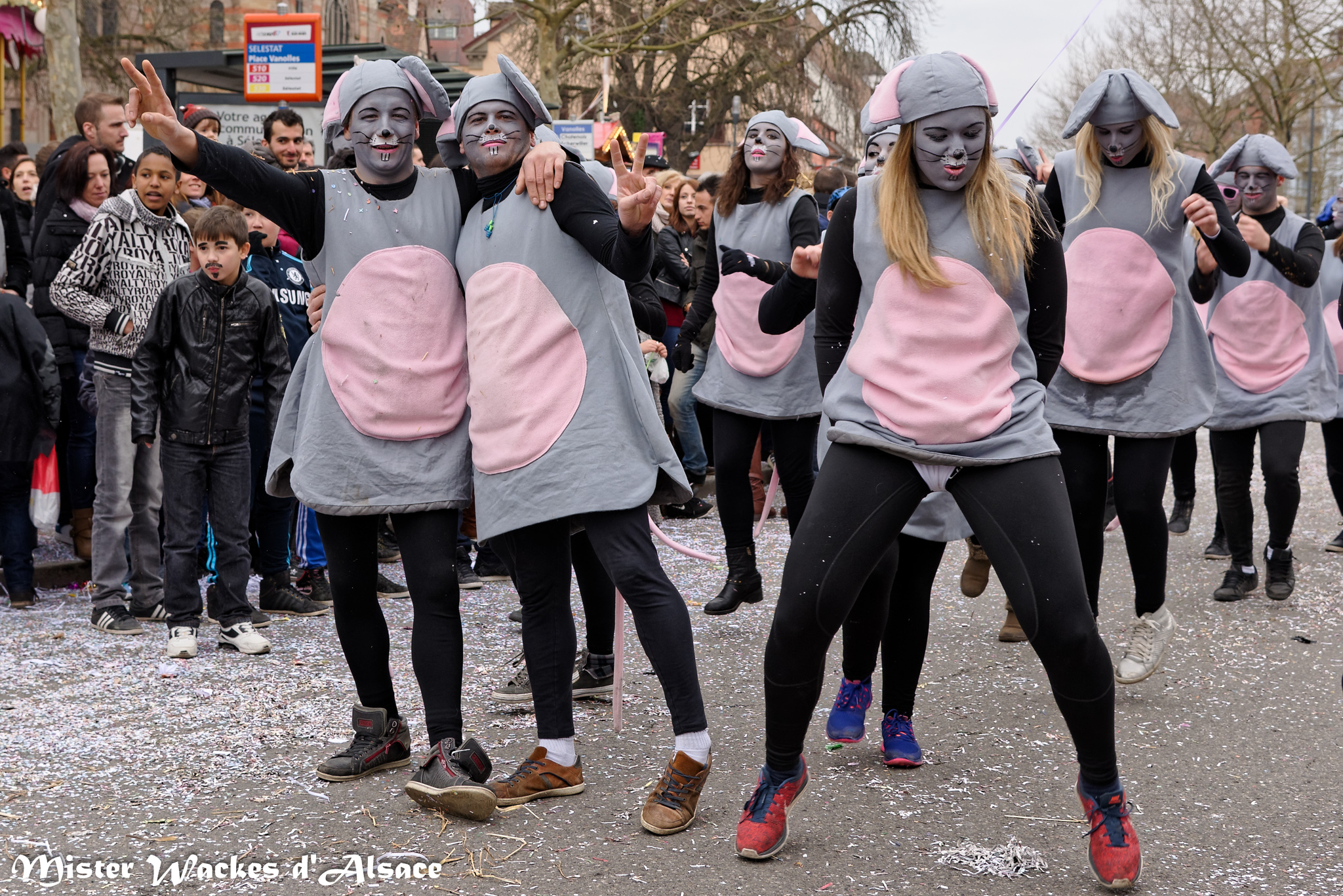 Carnaval des Machores 2015 avec les adorables souris Gagamenthal du char Anlli Gaga de Hilsenheim