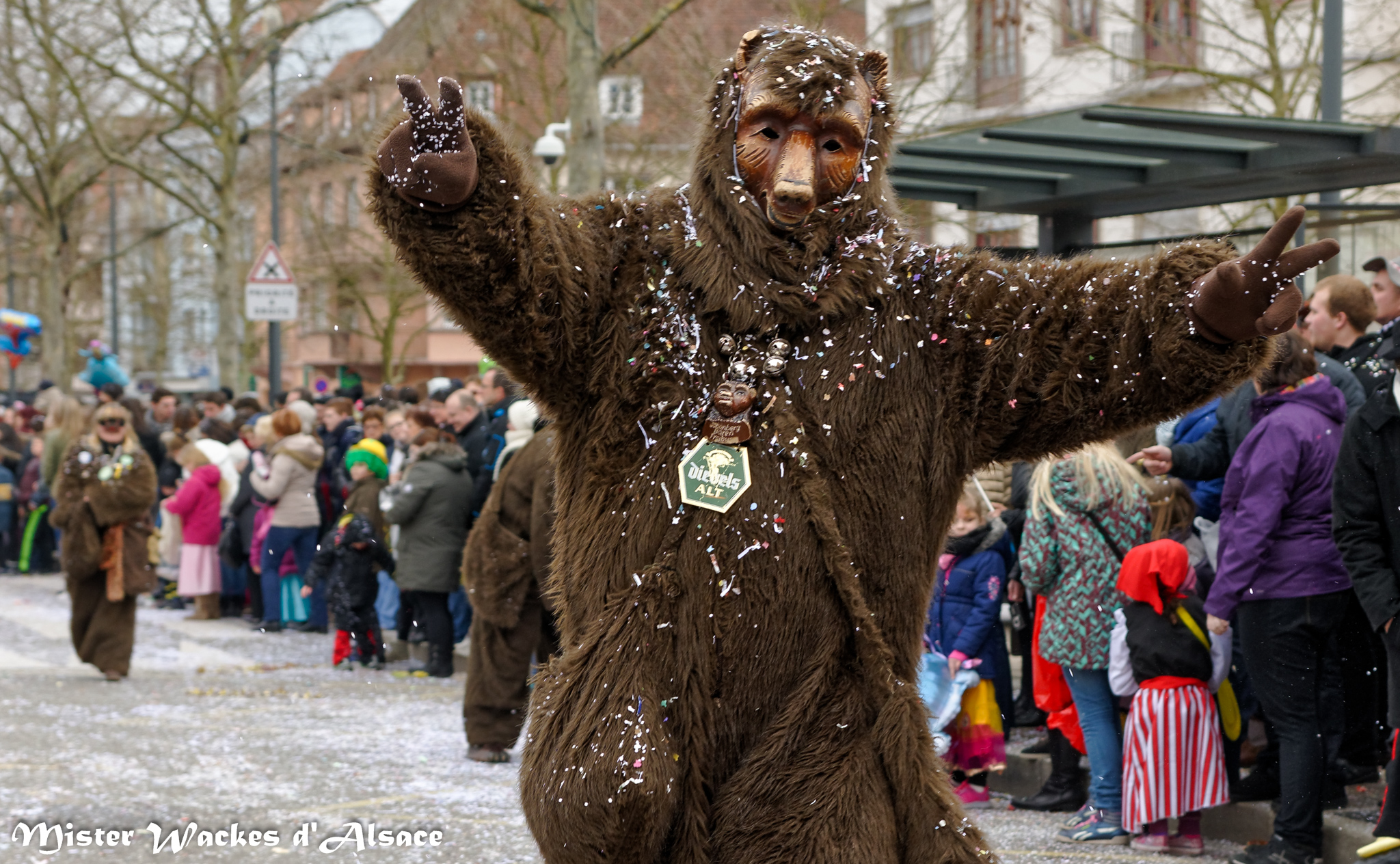 Carnaval de Sélestat 2015 et les Freiburger Schonbergbaren