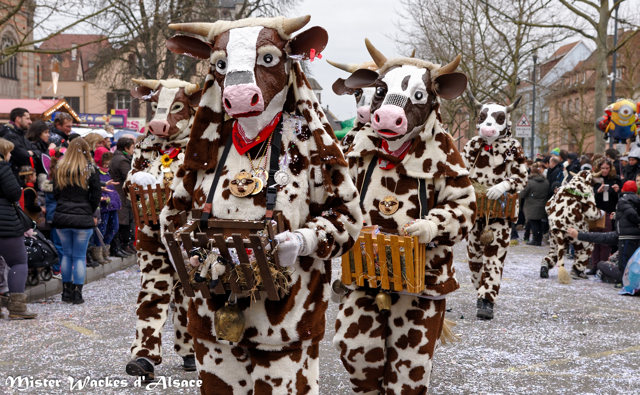 Carnaval de Sélestat 2015 et les Hattinger Lege de la Narrenverein Hattingen