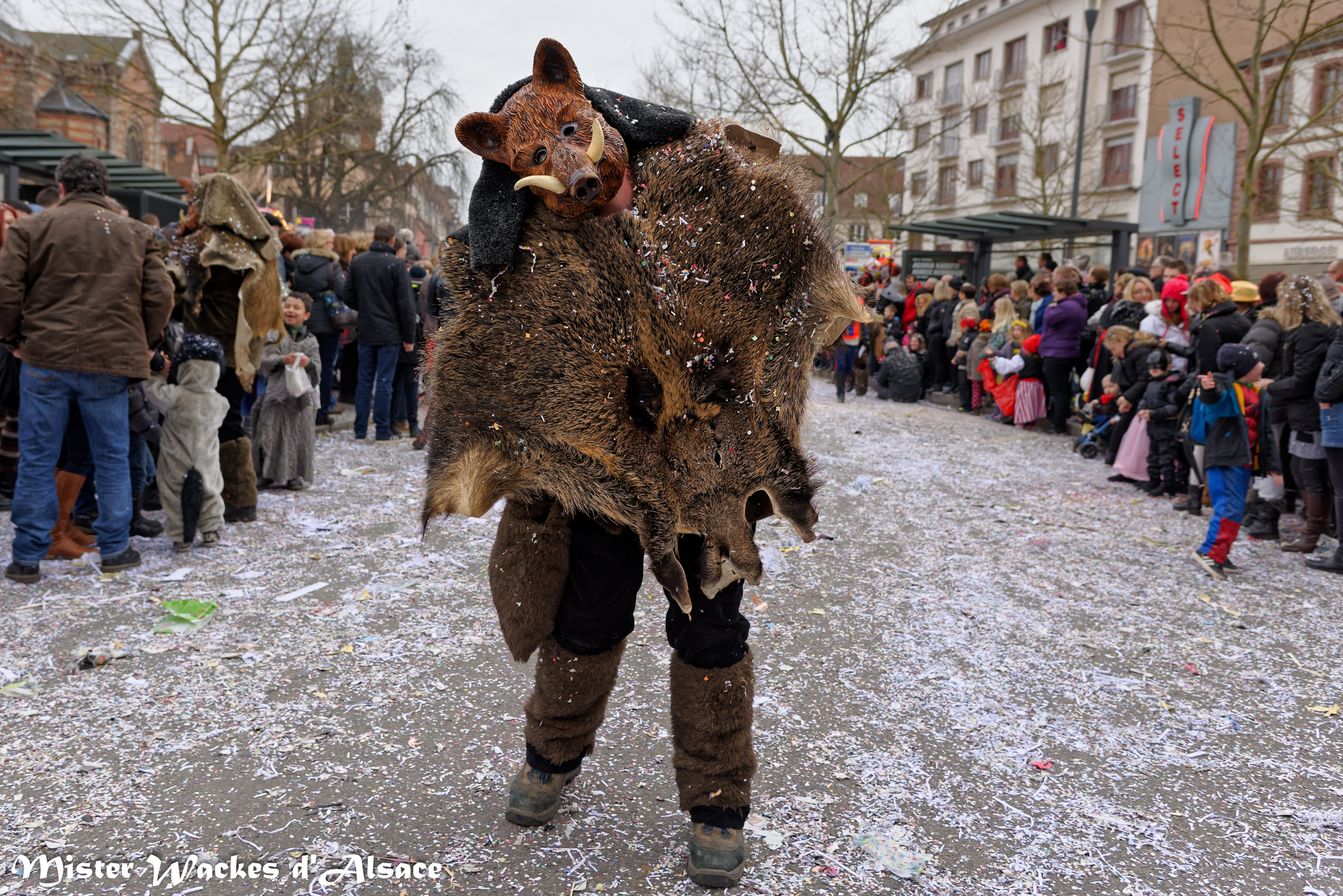 Carnaval de Sélestat 2015 avec le groupe Ripp Linger Wildsau de Bad Sackingen