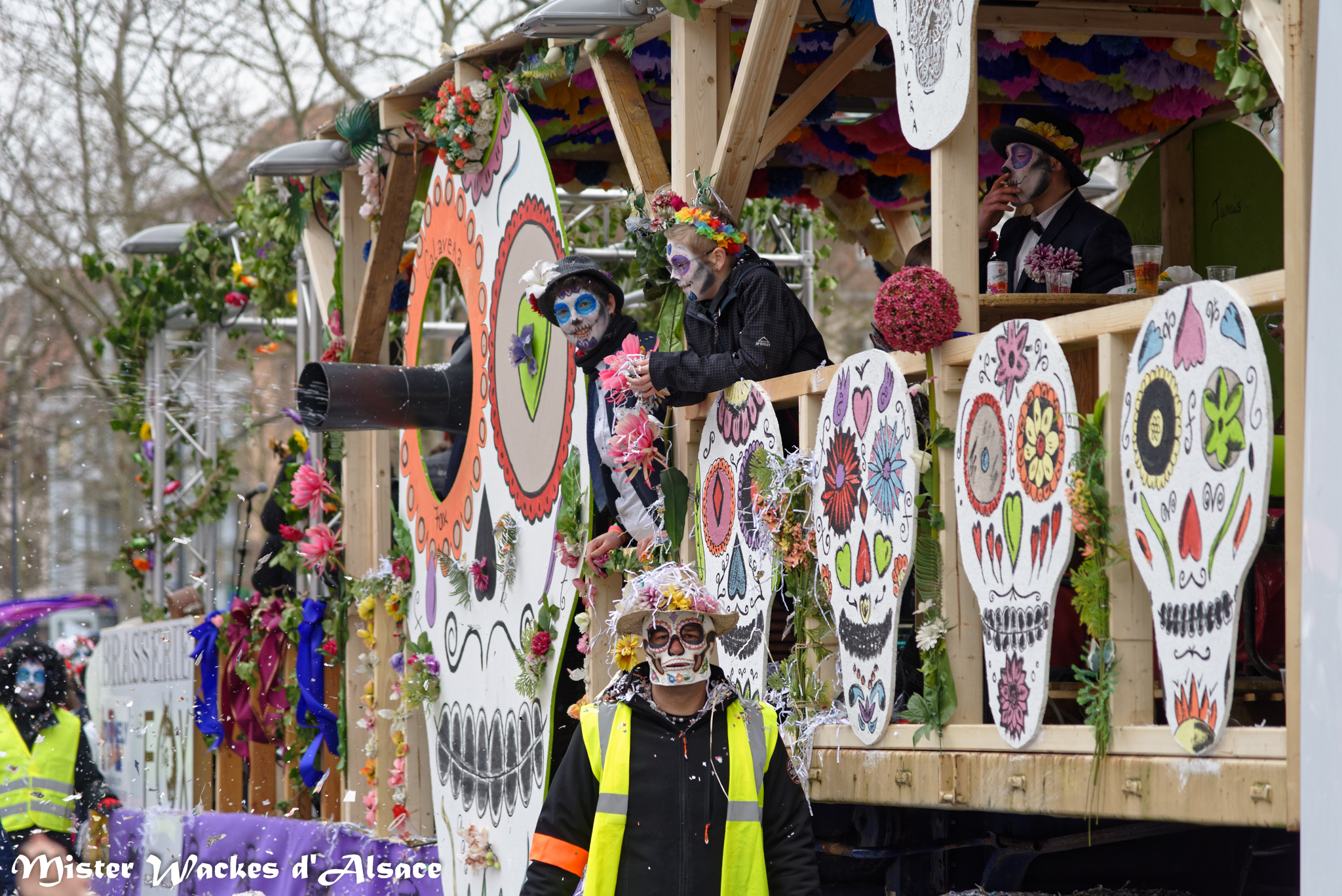 Carnaval des Machores 2015 et le char Les Jeunes Amis de la Bibliothèque de Sélestat