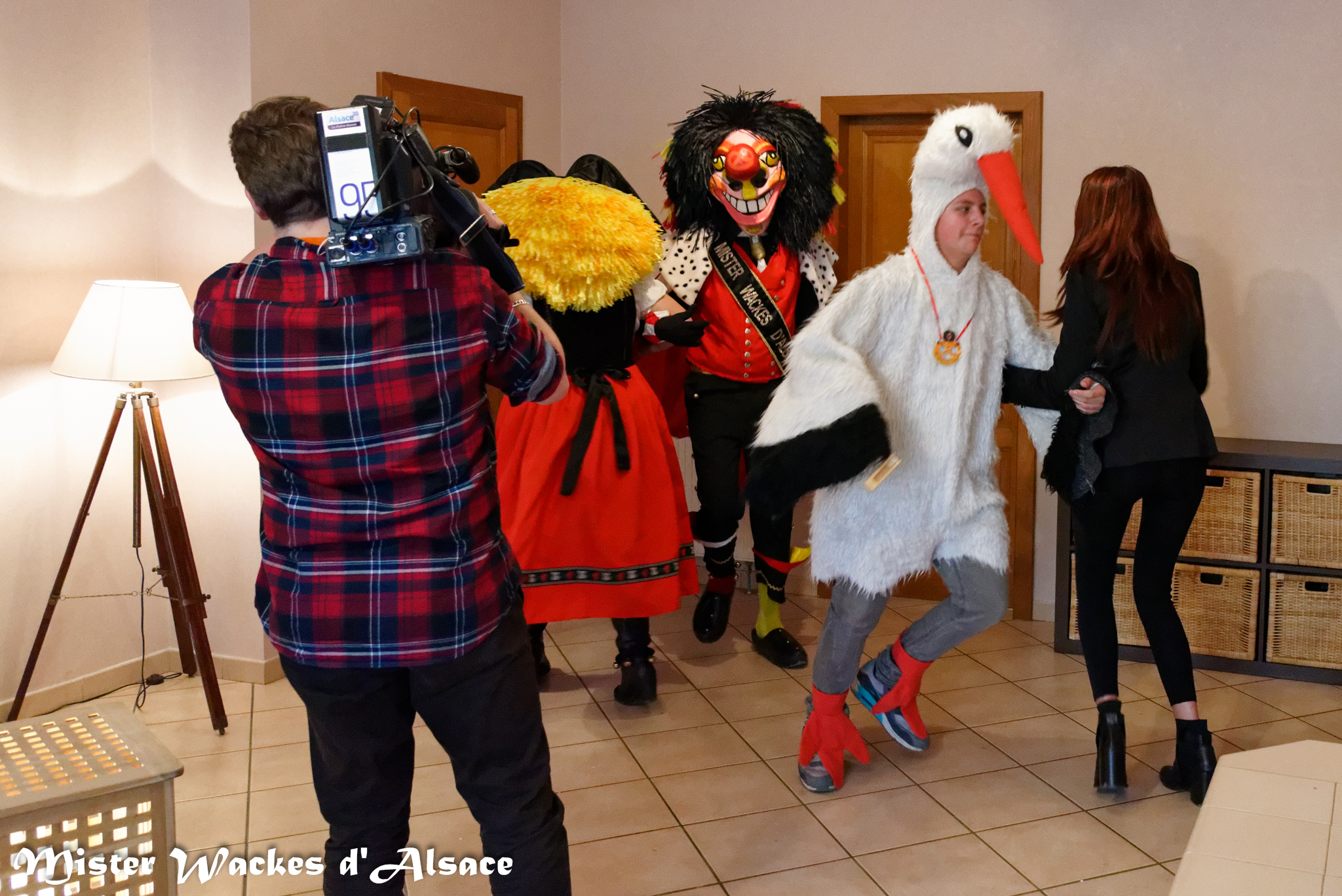 Alsace20 - Votre Alsace, avec Delphine Wespiser - Cigognes et carnaval avec Frédéric à Mulhouse