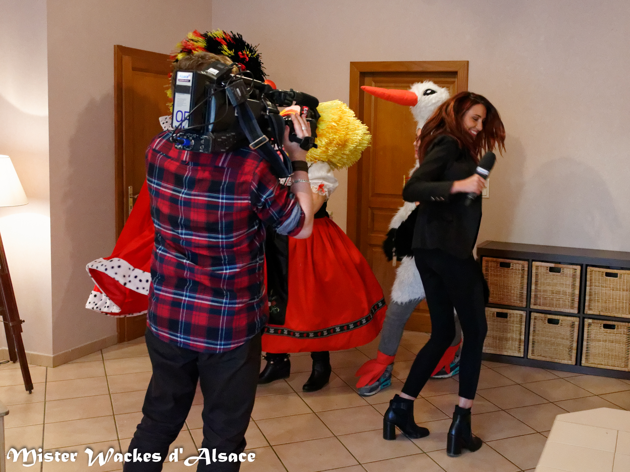 Alsace20 - Votre Alsace, avec Delphine Wespiser - Cigognes et carnaval avec Frédéric à Mulhouse