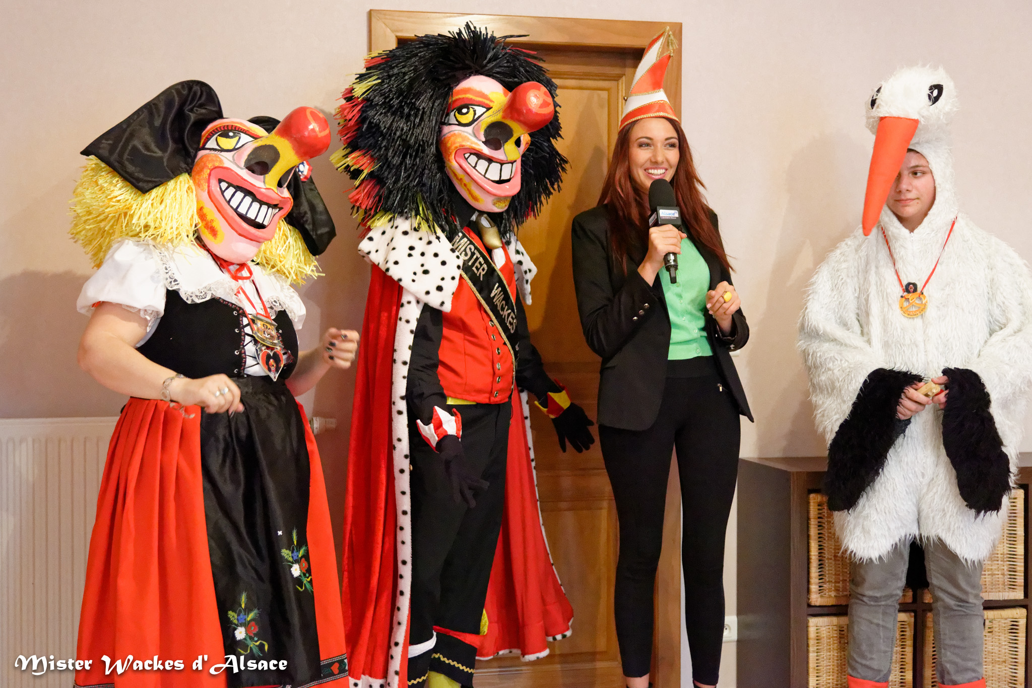 Alsace20 - Votre Alsace, avec Delphine Wespiser - Cigognes et carnaval avec Frédéric à Mulhouse