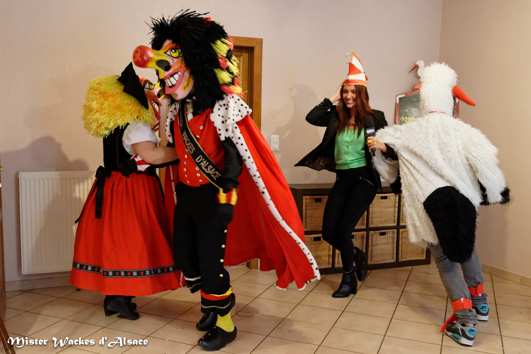 Alsace20 - Votre Alsace, avec Delphine Wespiser - Cigognes et carnaval avec Frédéric à Mulhouse