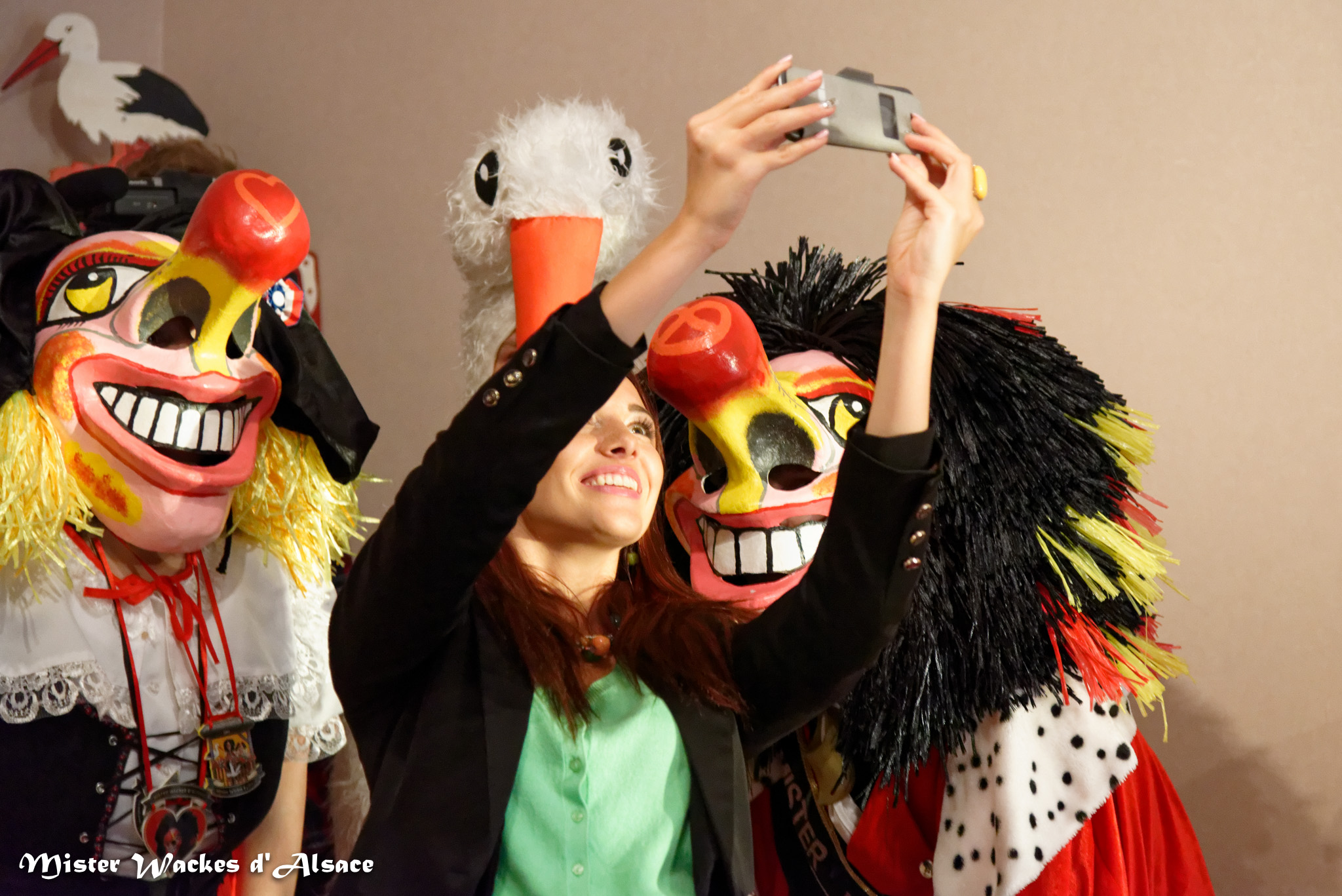 Alsace20 - Votre Alsace, avec Delphine Wespiser - Cigognes et carnaval avec Frédéric à Mulhouse