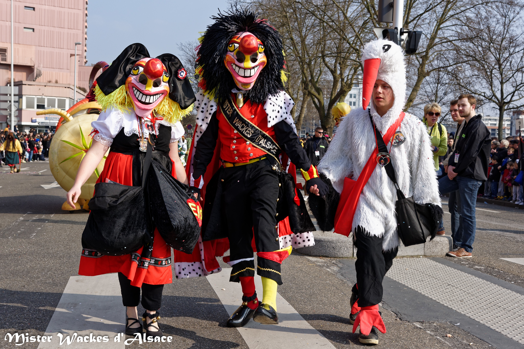 Carnaval de Strasbourg 2015 avec Mister Wackes d'Aslace, sa dulcinée Elsa et la cigogne Bretzel