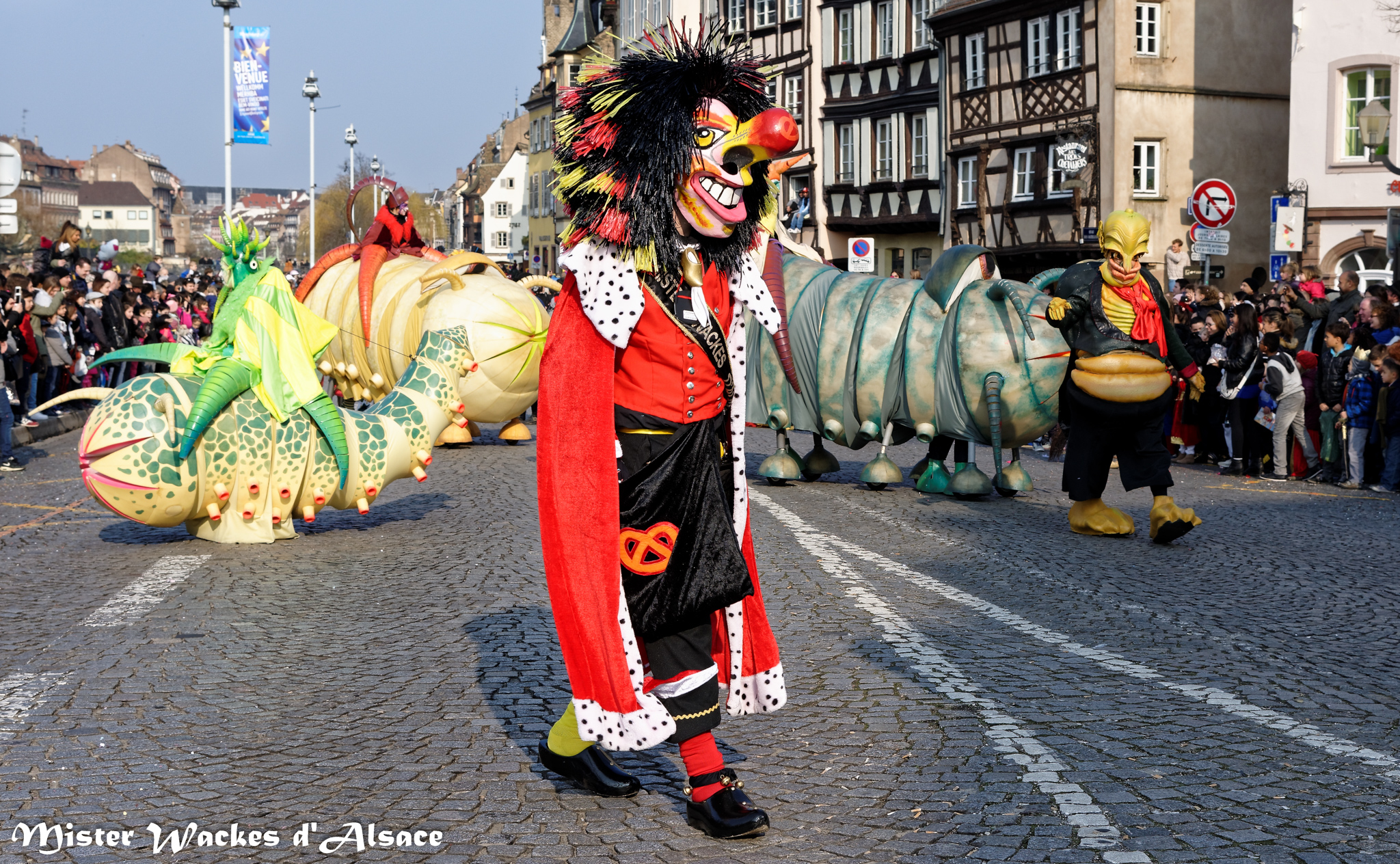 Carnaval de Strasbourg 2015