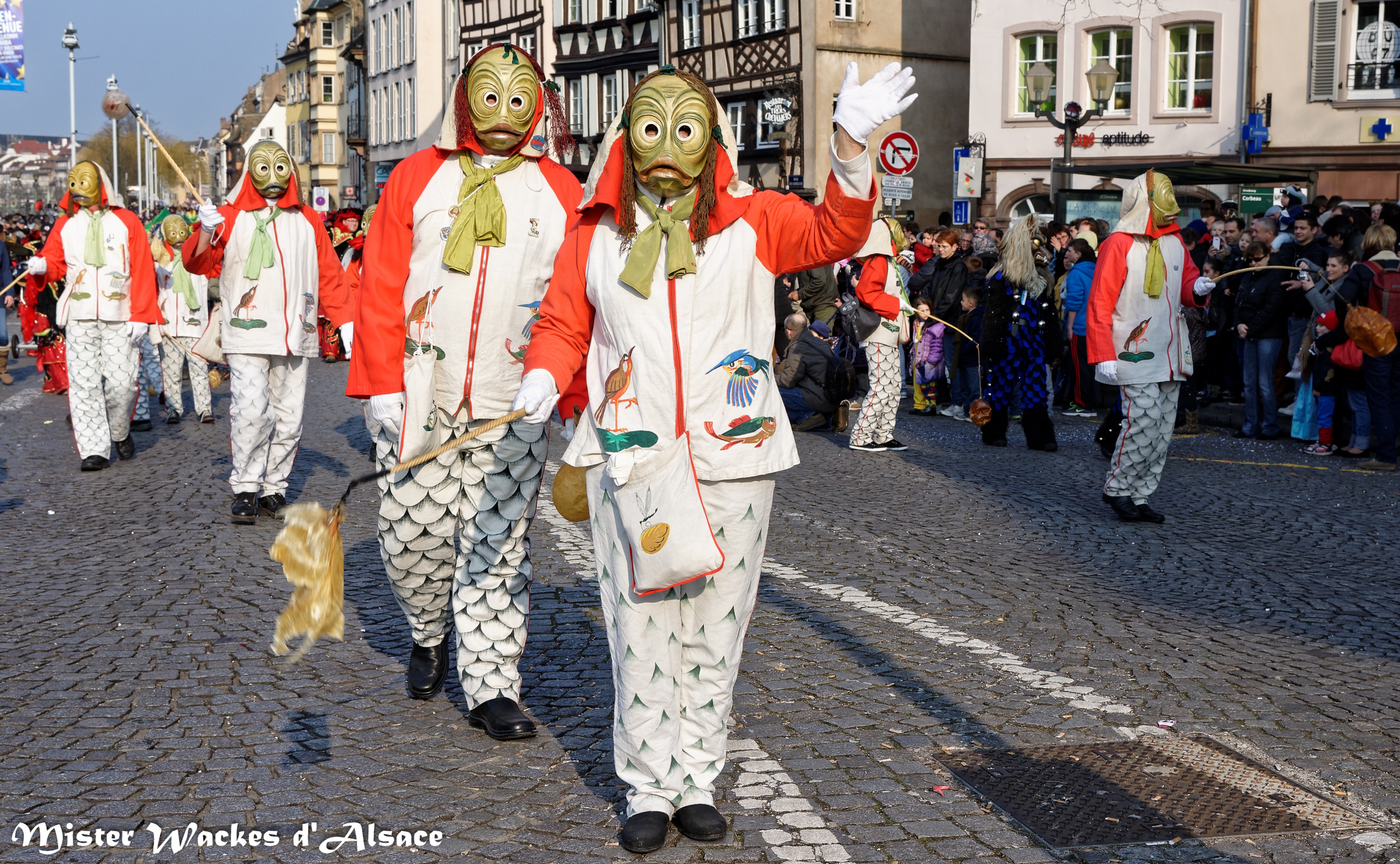 Carnaval de Strasbourg 2015 avec les Hansele Allensbach