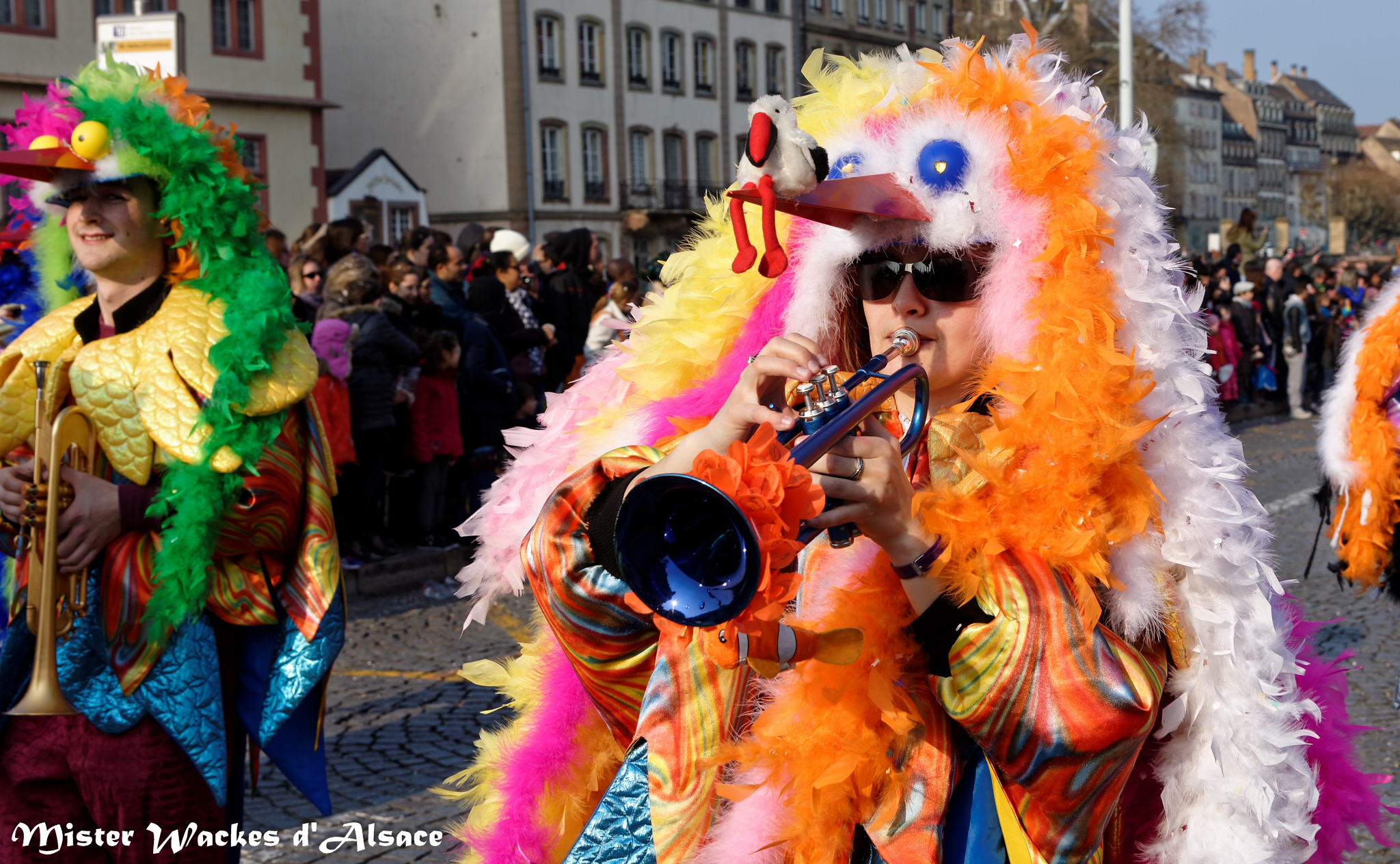 Carnaval de Strasbourg 2015 et la gugga musique D'Verruckta Storcka