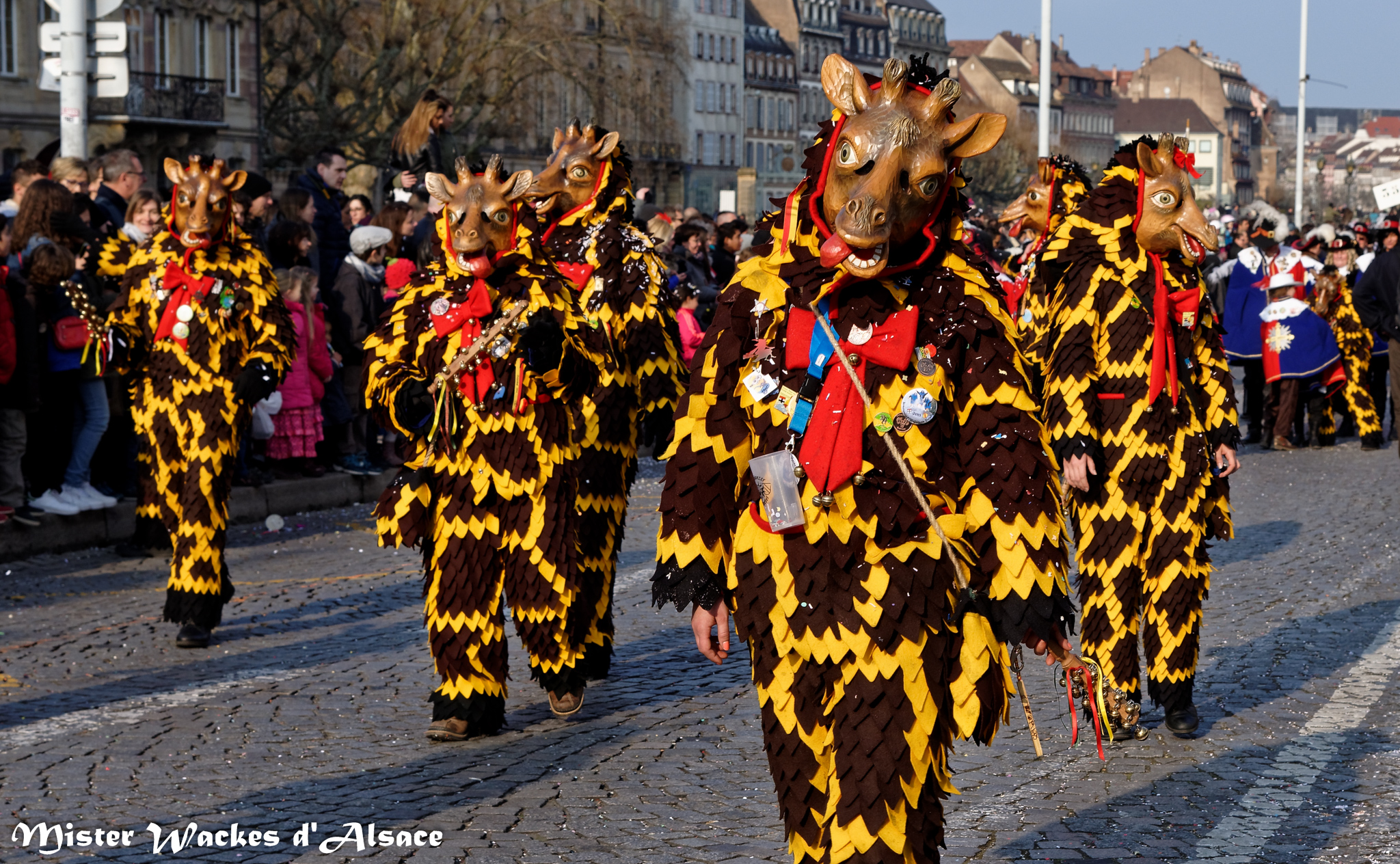 Carnaval de Strasbourg 2015 et les giraffes, Giraffen Wollmatingen