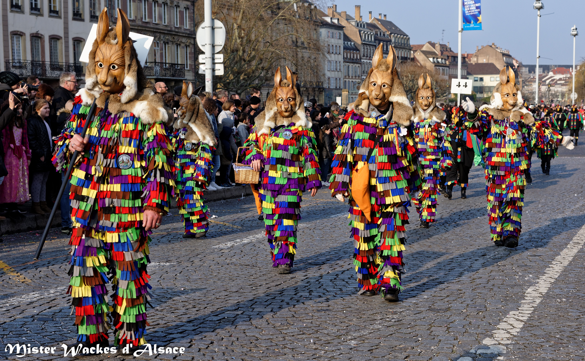 Carnaval de Strasbourg 2015 et les Seehasen d'Allemagne