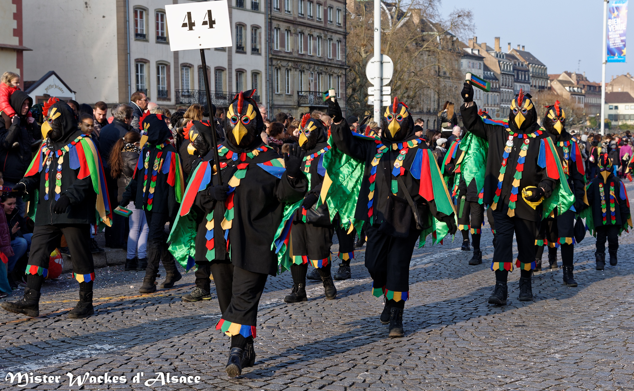 Carnaval de Strasbourg 2015 et les Galgenvögel d'Allemagne