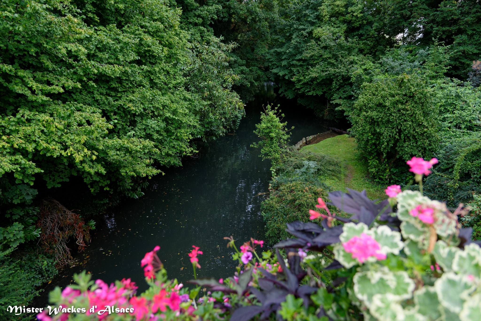 Petite Venise Colmar - promenade en barque au fil de l'eau