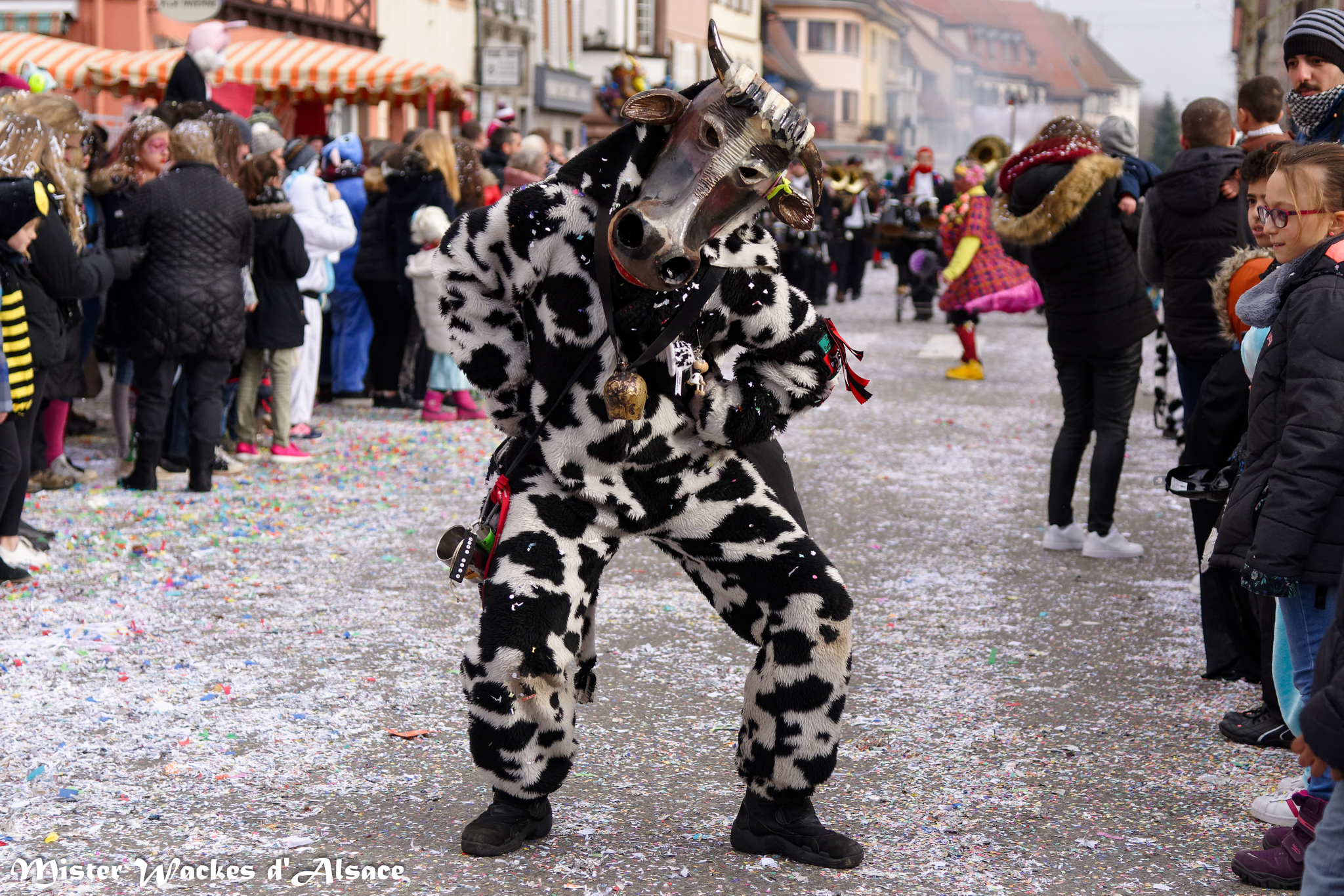 Carnaval 2017 et 2018 en Alsace