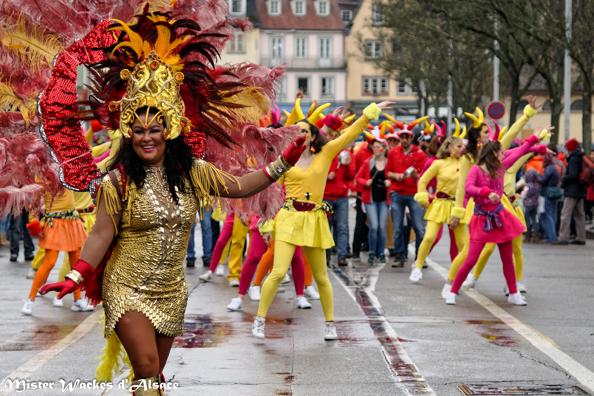 Carnaval 2017 et 2018 en Alsace