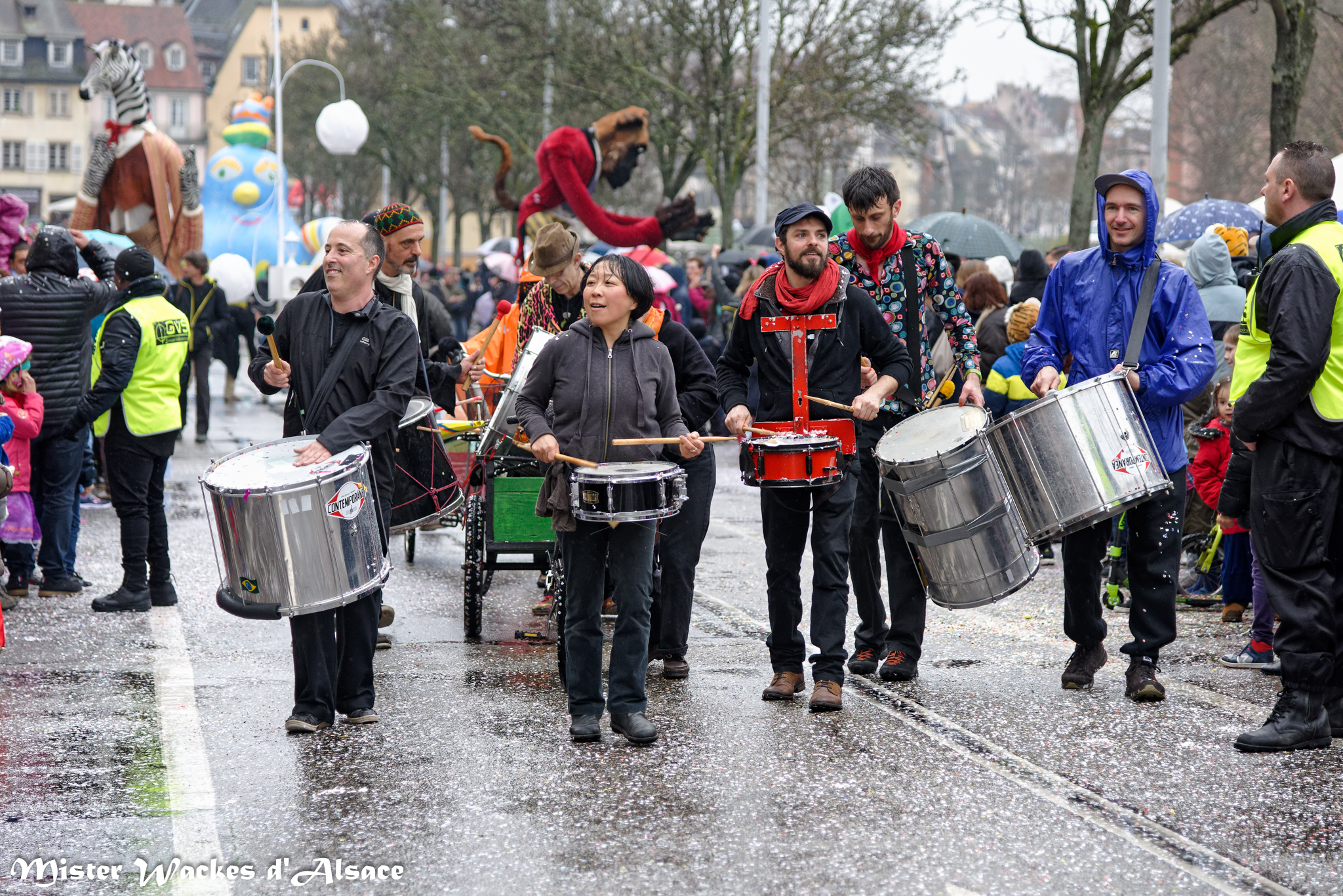 Carnaval 2017 et 2018 en Alsace