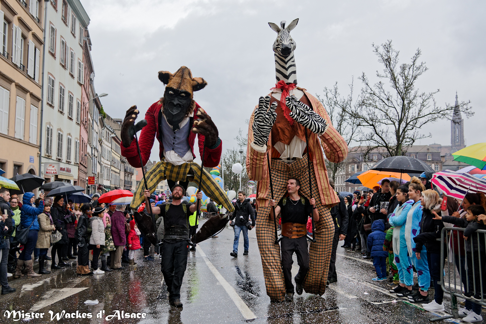 Carnaval 2017 et 2018 en Alsace