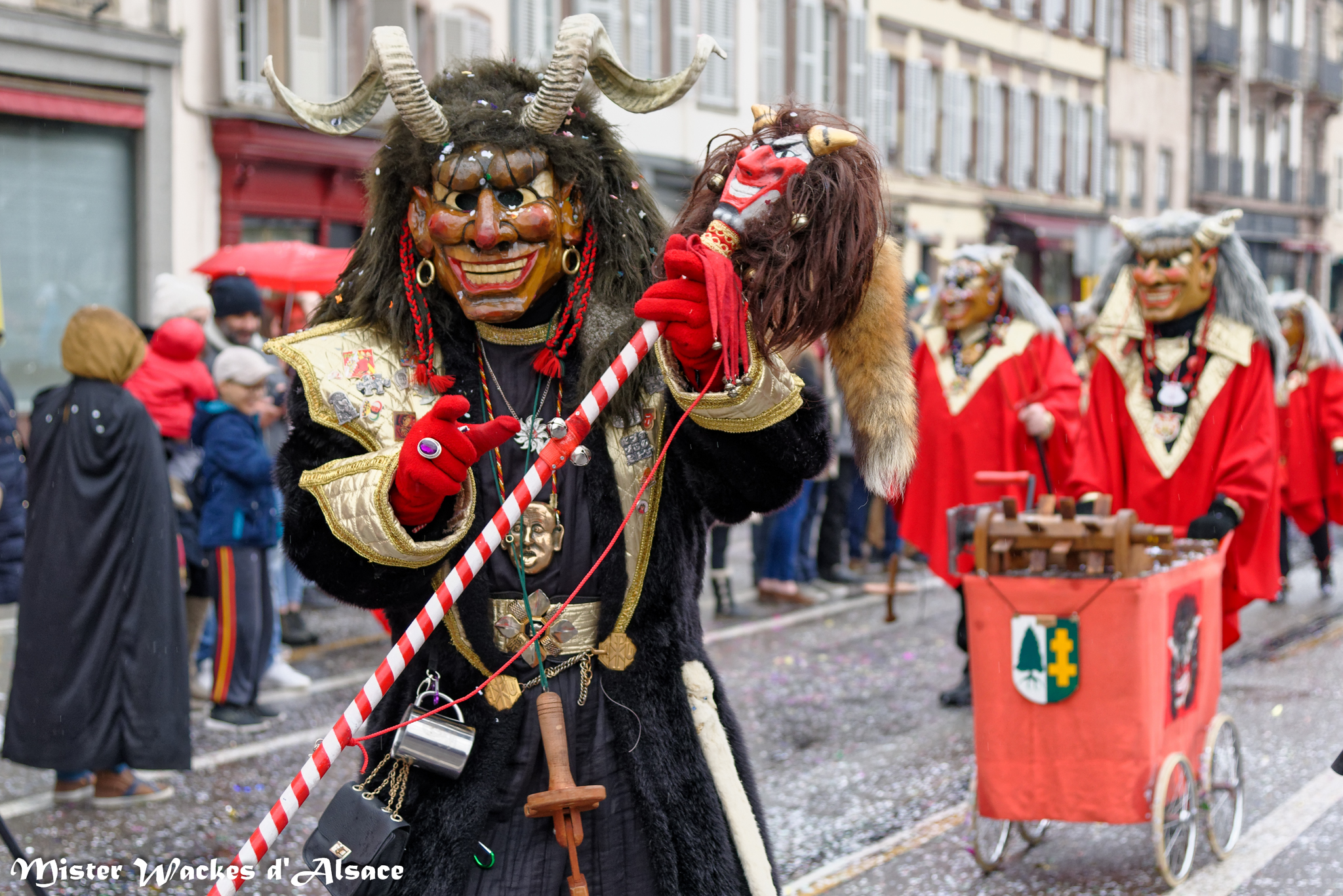 Carnaval 2017 et 2018 en Alsace